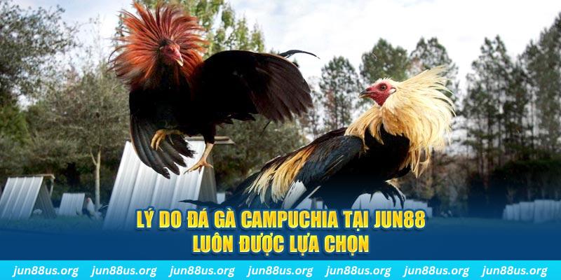 fb888 nổ hủ máy bay