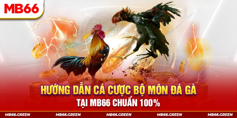 fb888 xổ số bình định
