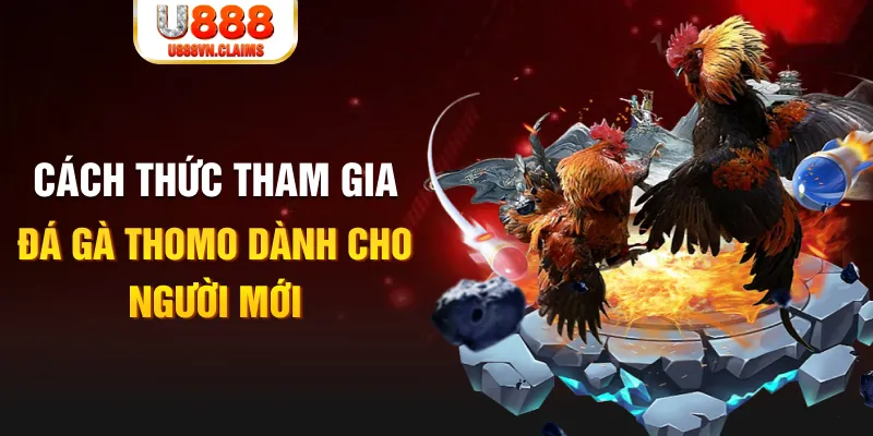 fb888 kết quả xổ số miền nam