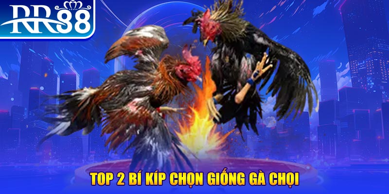 fb888 đăng nhập roulette dễ thắng