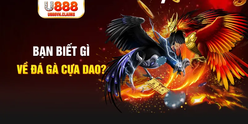 fb888 xổ số kiến thiết