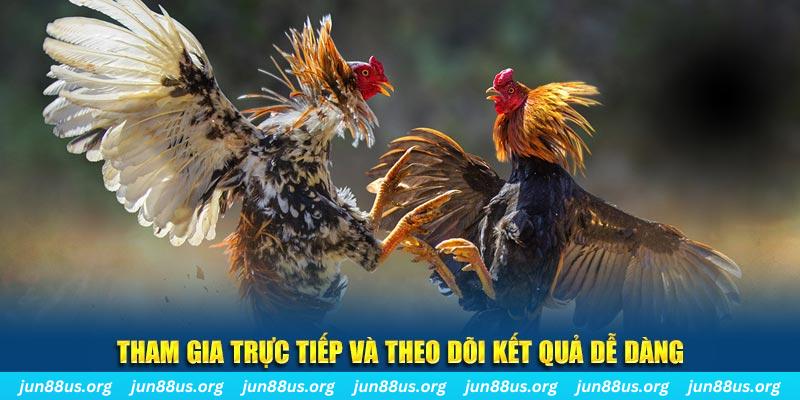 fb888 đá gà trực tiếp bình luận viên
