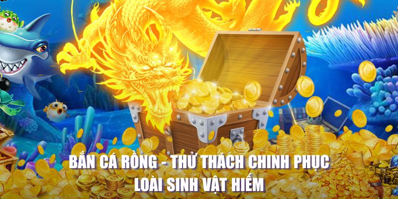 fb888 game bai beme tren may tinh