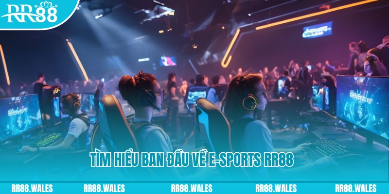 fb888 Đĩa màu ace