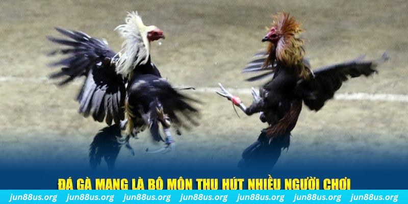 fb888 xổ số cà mau