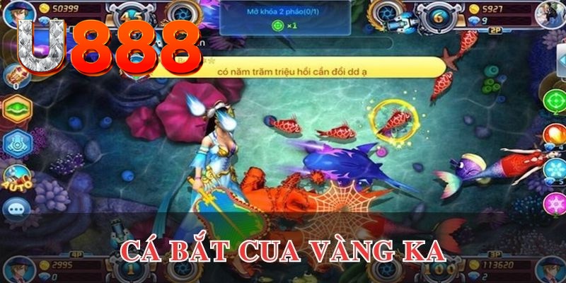 fb888 đăng nhập phỏm uy tín