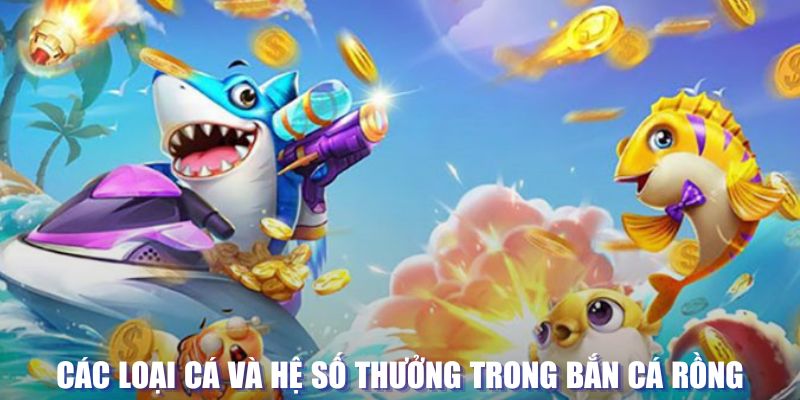fb888 loi game dot kich ket noi may chu that bai