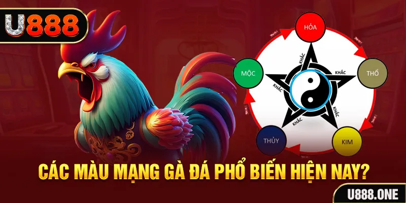 fb888 đăng nhập mậu binh
