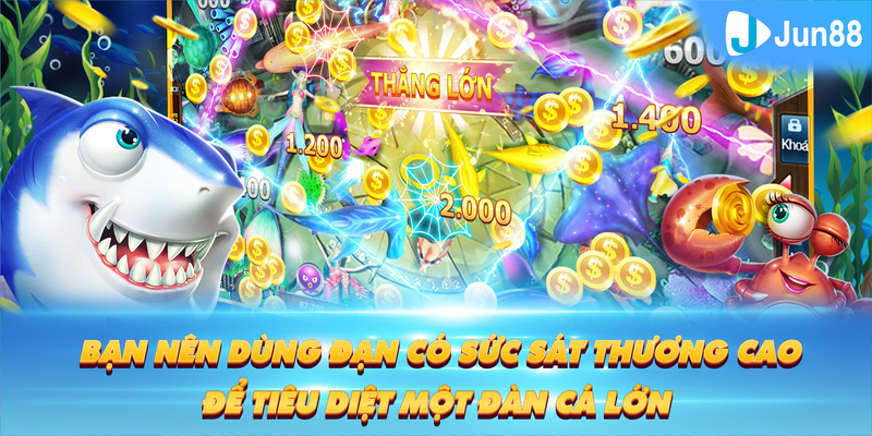 fb888 Tung Đồng Xu