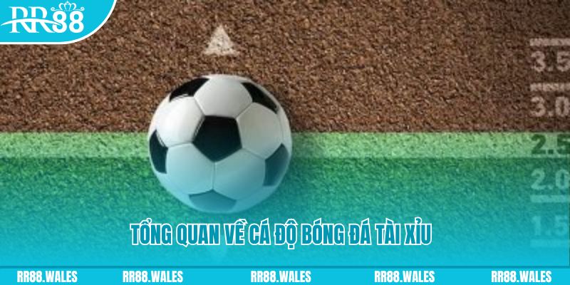 fb888 đăng nhập lô đề online