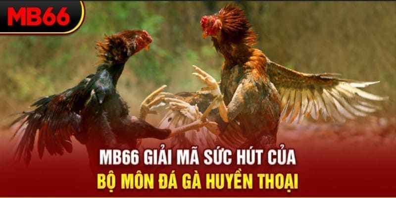 fb888 Phi Đội Ưu Tú