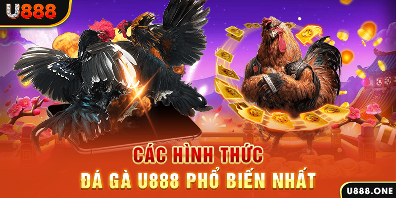 fb888 DB Trực Tuyến