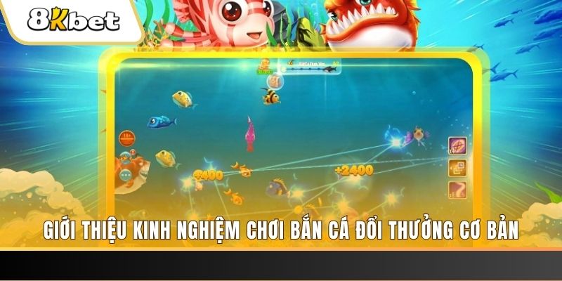 fb888 xổ số miền bắc thứ năm hàng tuần