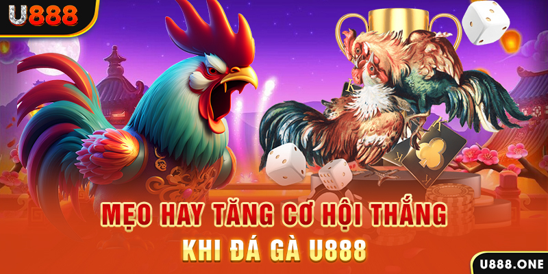 fb888 trực tiếp gà chọi c1