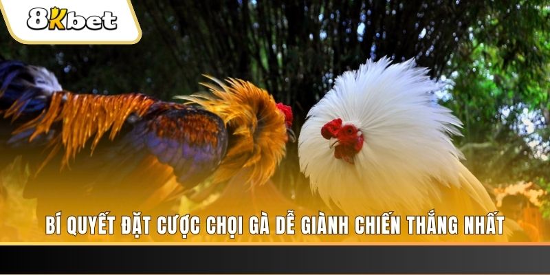 fb888 Tài Xỉu 2