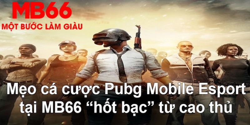 fb888 gà chọi mộc hóa