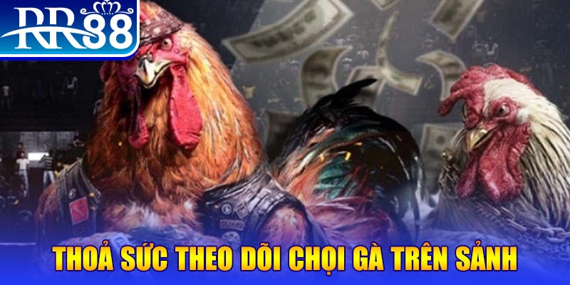 fb888 đá gà 88.com